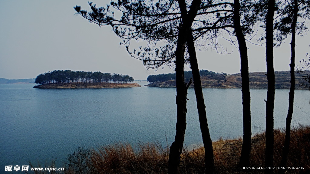 燕子湖五棵松(非高清)