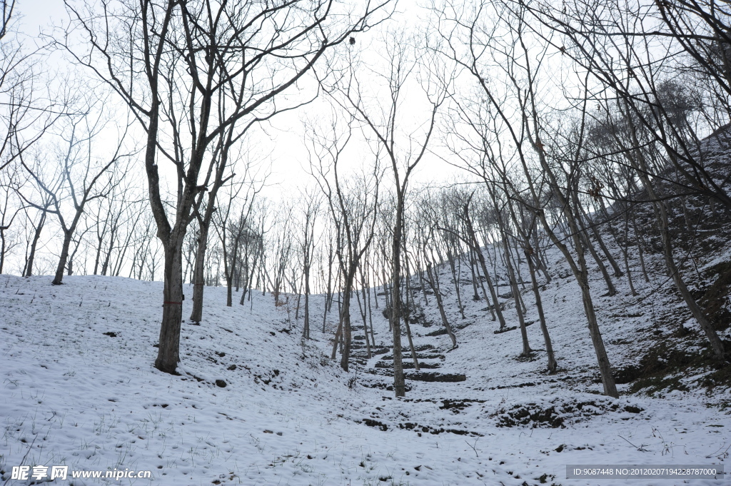 林海雪原