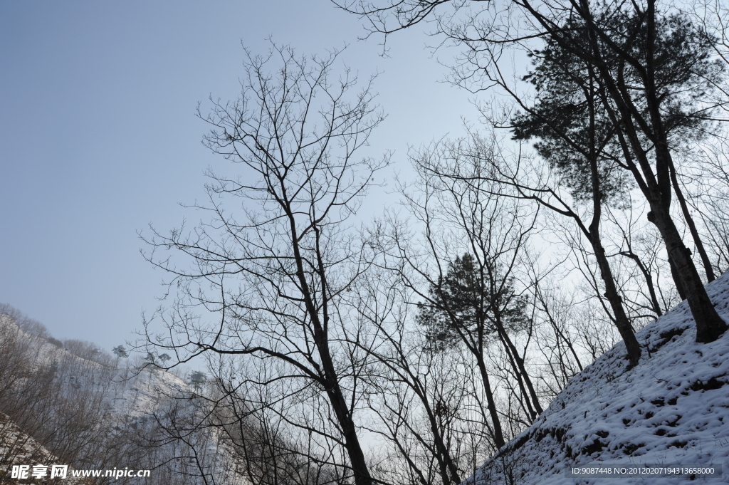 林海雪原