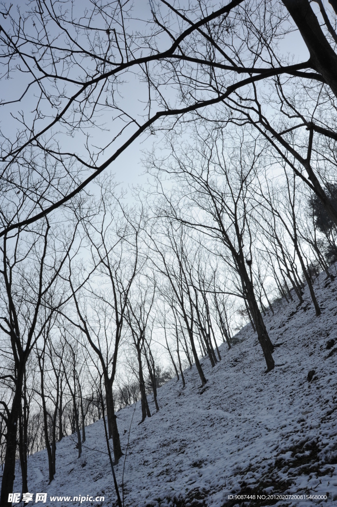 林海雪原