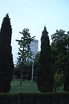 合肥包公祠包河公园照片
