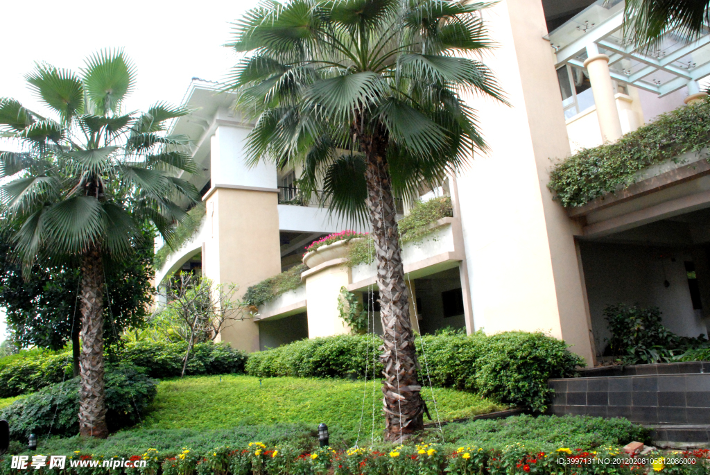 小区绿化