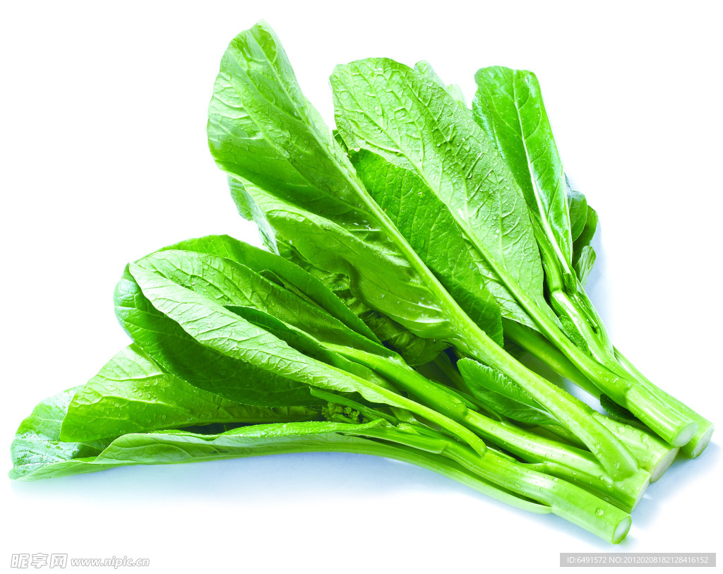 广东菜心