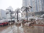 自然风光 雪景