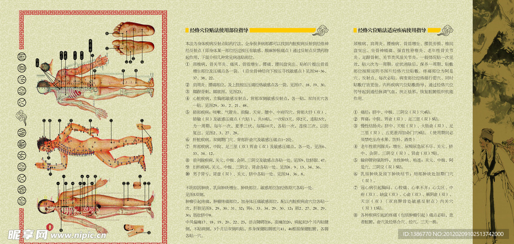 中医经络折页