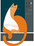 优雅的猫