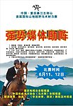 骑马海报
