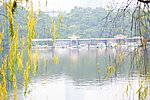 湖泊景观