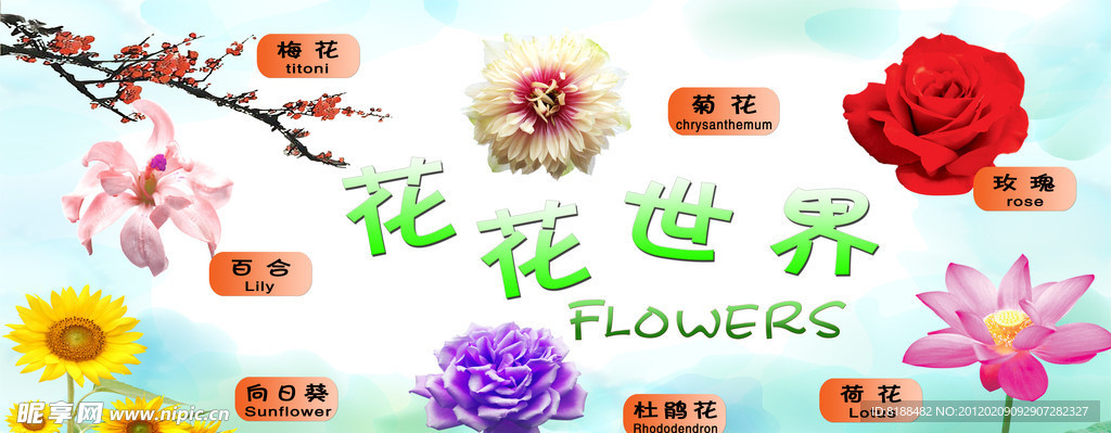 花花世界