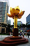 澳门金莲花标志