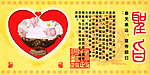 圣旨女孩