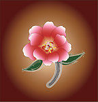 山茶花