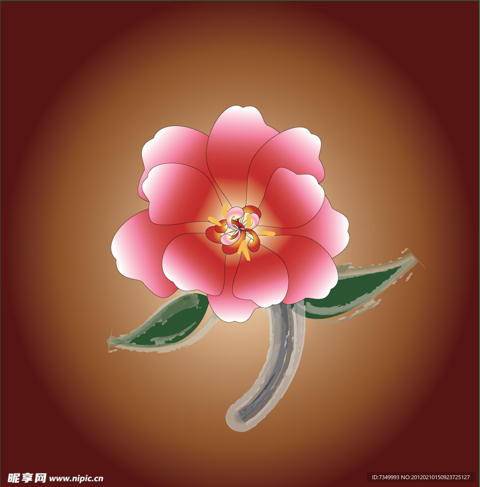 山茶花