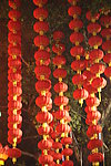 灯会