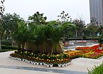 美丽花园