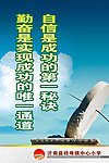 学校展板