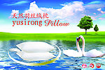 天然羽丝枕