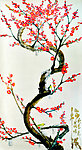 花枝俏