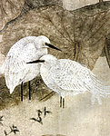 闲立藕塘