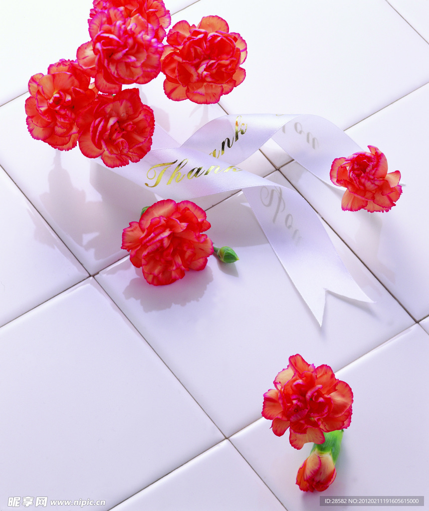 高清鲜花摄影