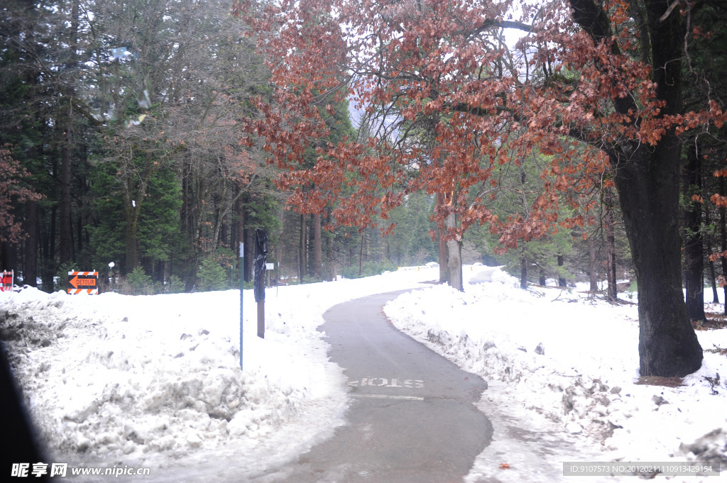 雪景小路