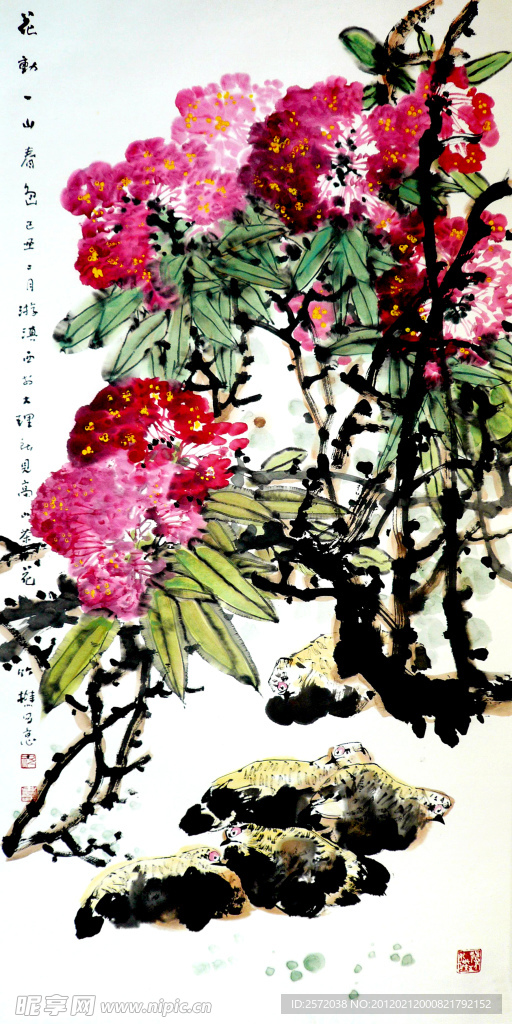 花动一山春色