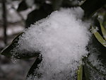 积雪