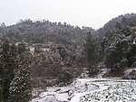 初雪
