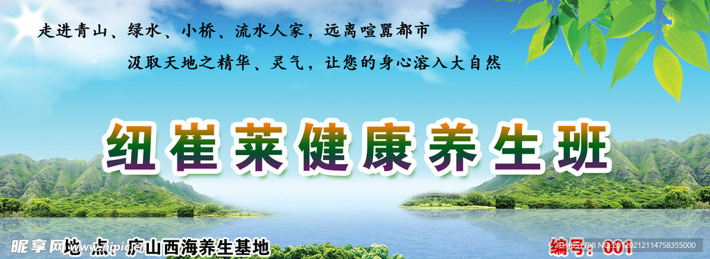 养生票