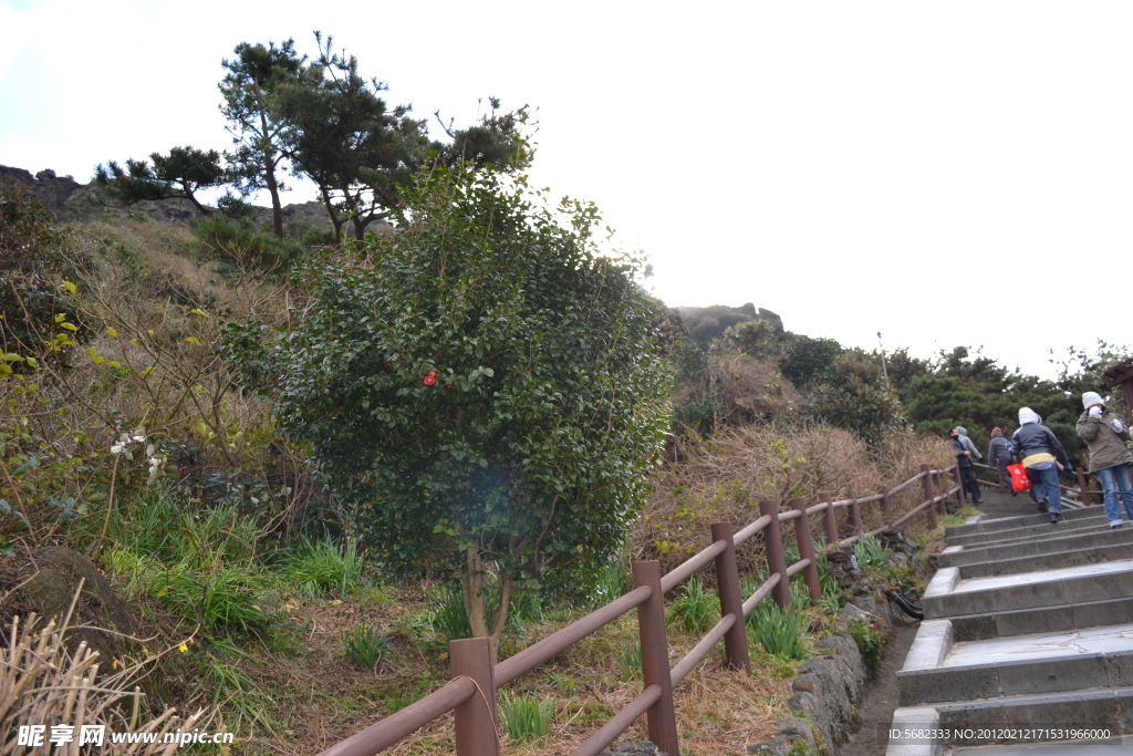 日出峰崇山路