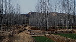 上山 小路