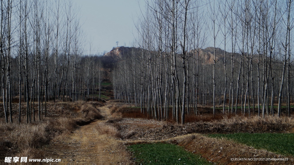 上山 小路