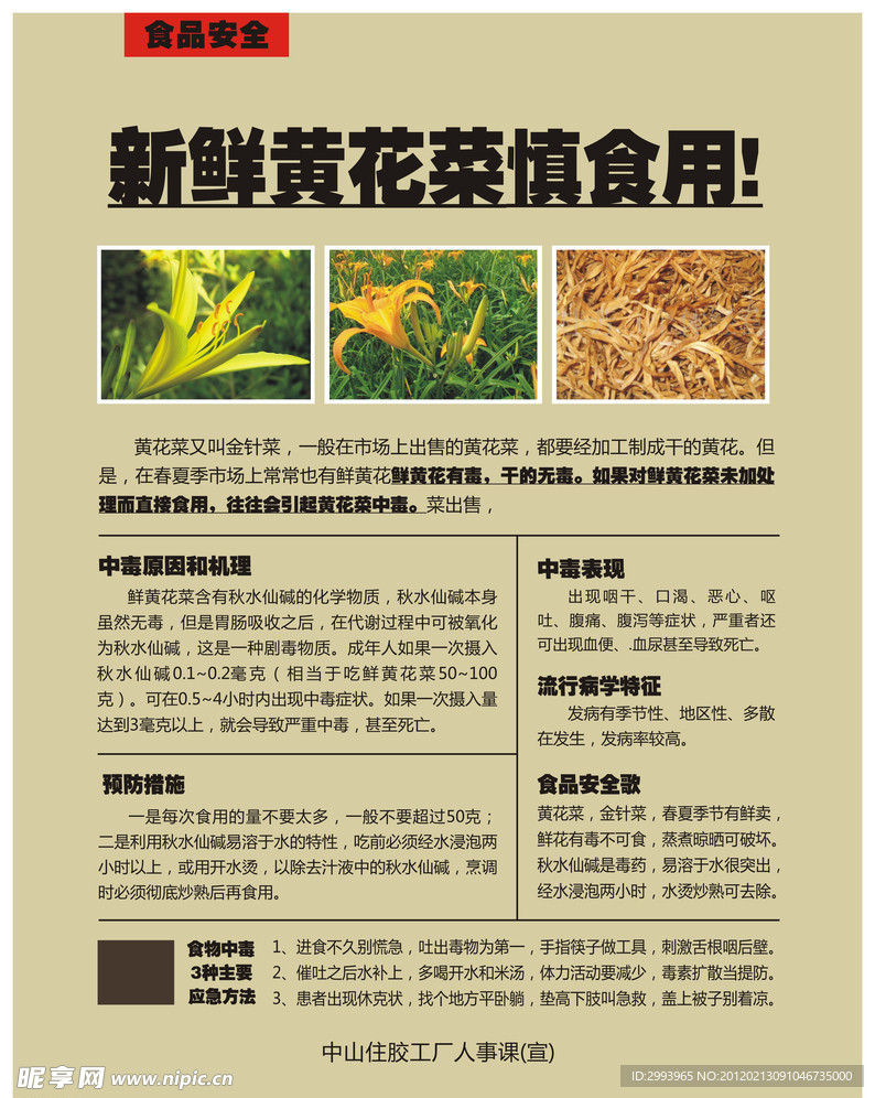 食品安全 黄花菜