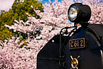 蒸汽机车