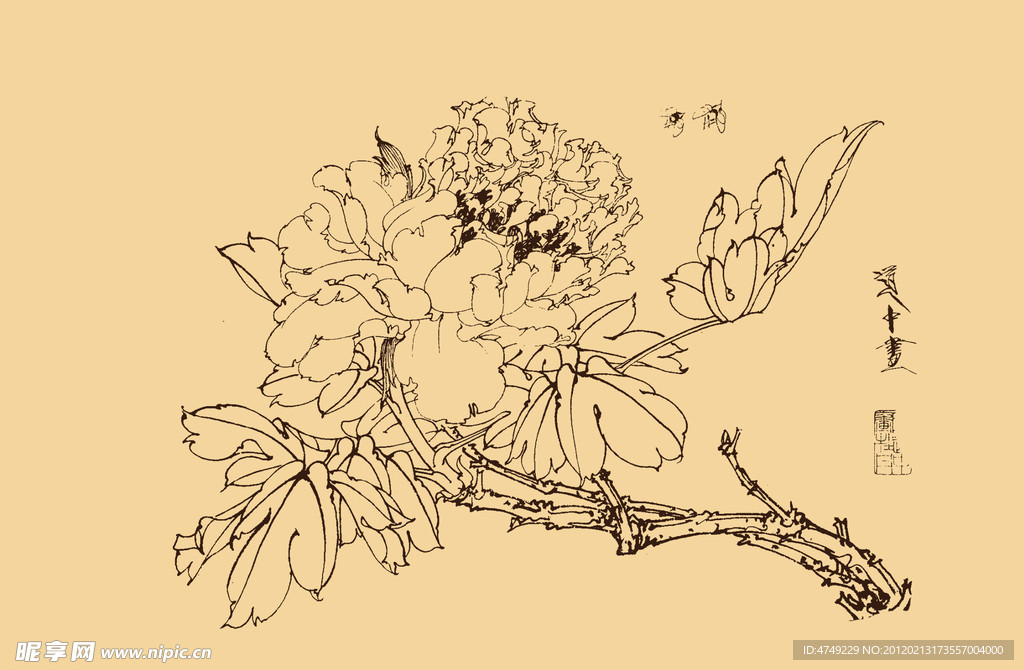 白描牡丹
