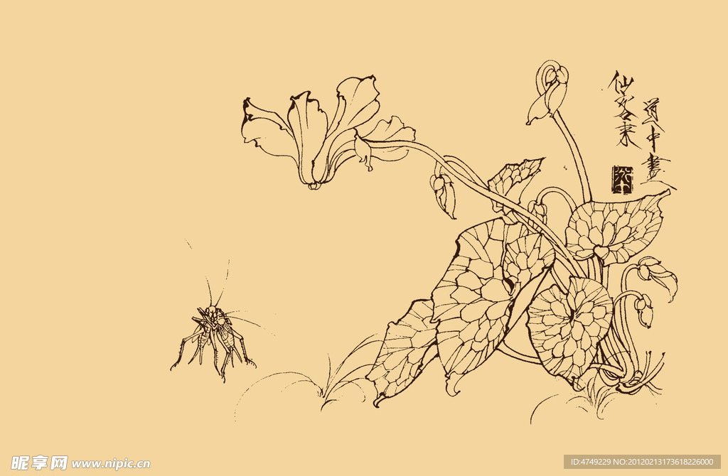 白描仙客来