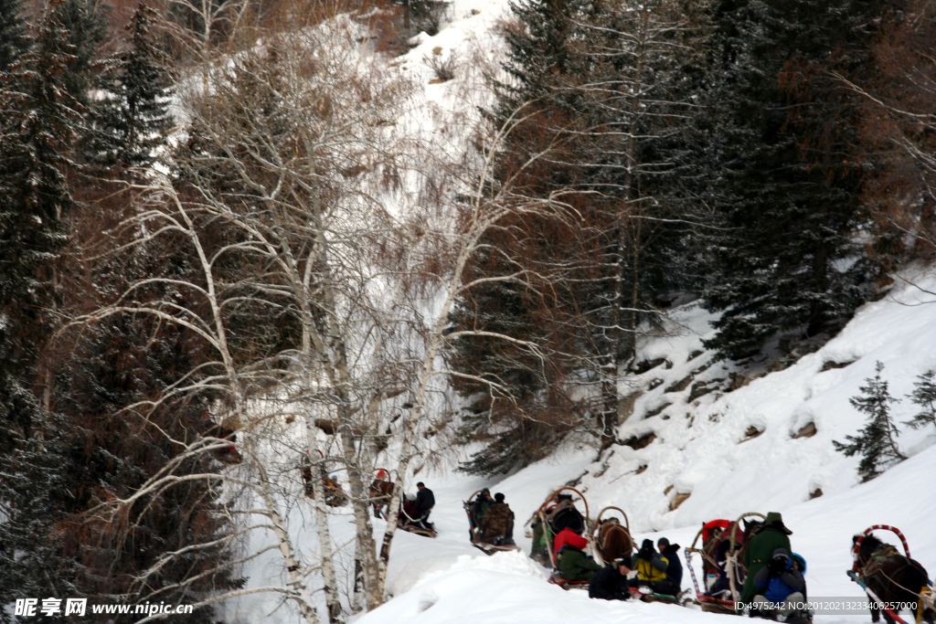 雪域高原