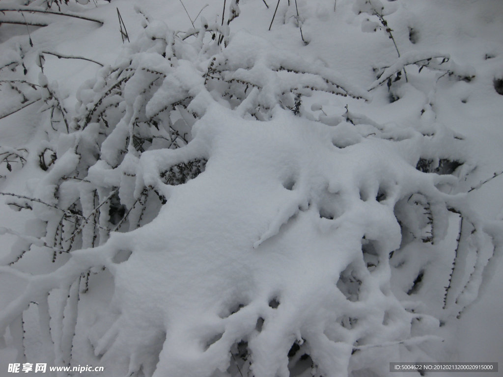 白雪