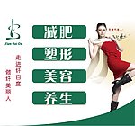 减肥产品橱窗海报