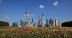 上海风光