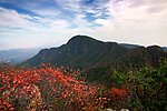 鸠山坷垃垛