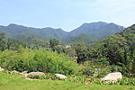青山