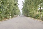 乡间公路