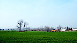 田野