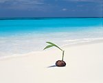 夏威夷风光