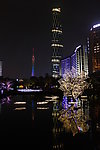 广州塔 西塔 水中光树