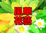 风华花艺