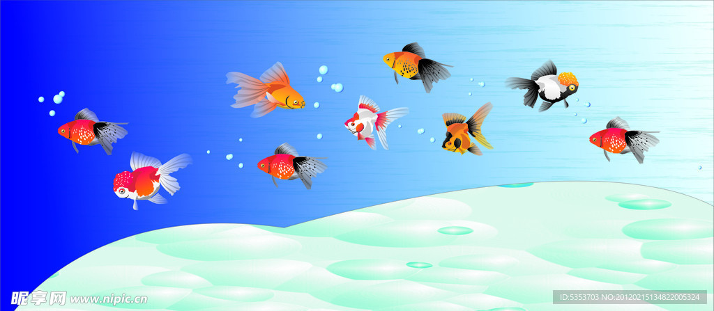 水族箱中游动的金鱼