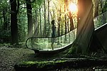 梦幻森林