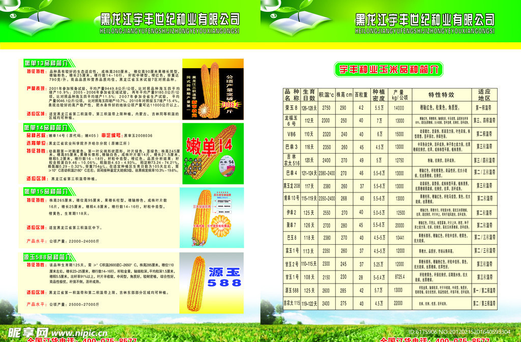 宇丰种业种业